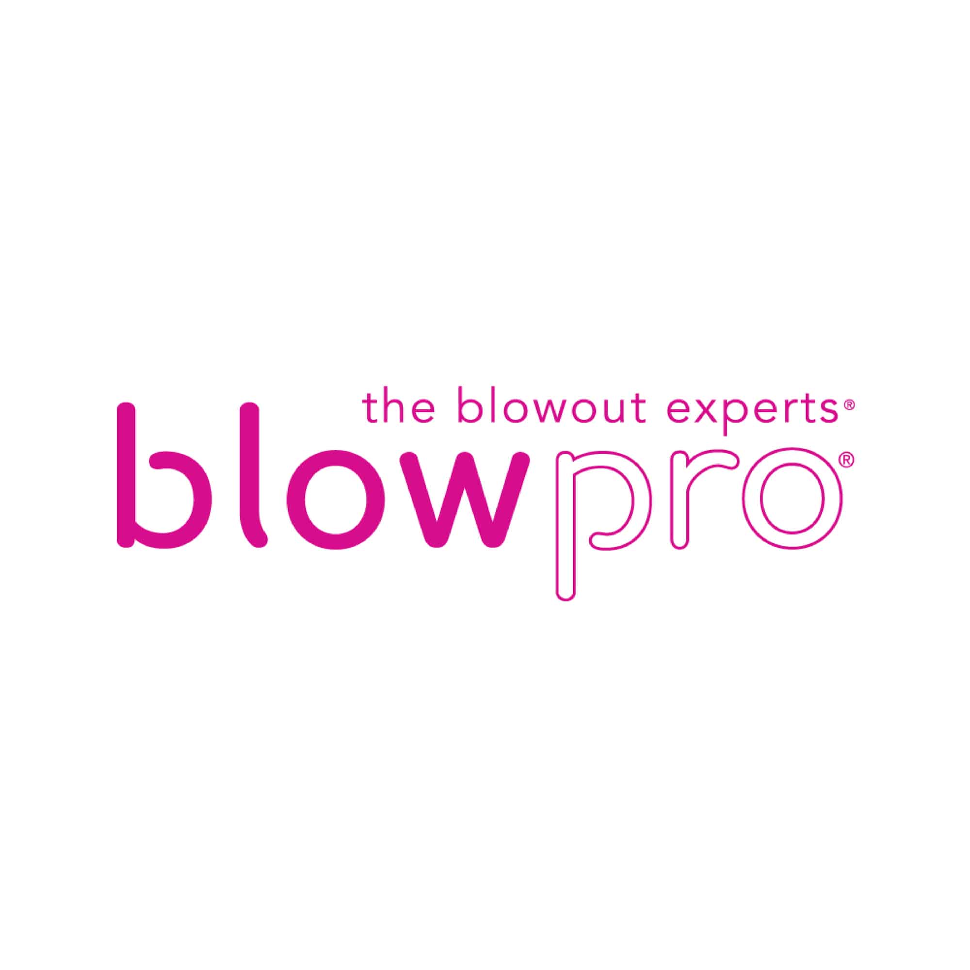 Official Blowpro logo